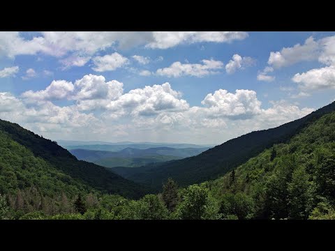 WELCOME TO WILDWOOD HOLLER