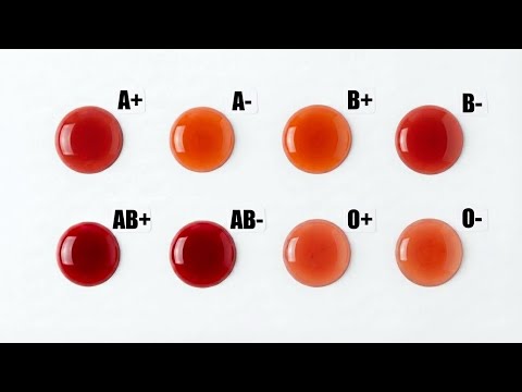 What Your Blood Type Says About Your HEALTH That Doctors Don't Know