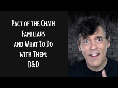 Pact of the Chain Familiars and what to do with them: D&D