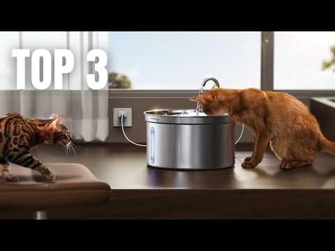Top 3 des Meilleurs Fontaine à Eau pour Chat !