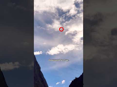 HOW did they get up there??