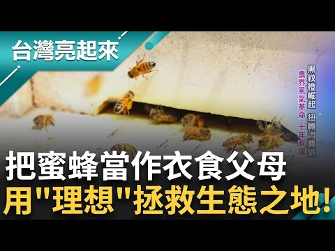 蜜蜂倒在地上苦苦掙扎... 蜂農看著都是滿眼心疼 農藥殺害的不只是蜜蜂 更是整片土地生命 用農業理念拯救生命共榮【台灣亮起來】│SET Wildlife