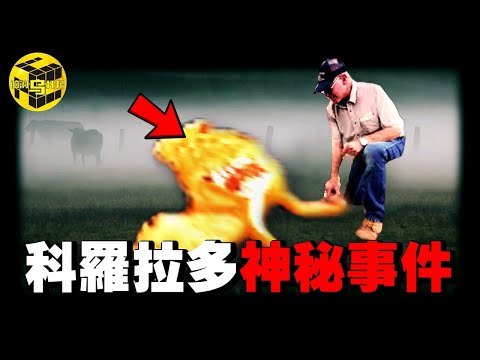 迄今為止最震撼的一期：持續了400年的謎案，竟是外文明造訪地球最有力的證據？超過萬起案例的神秘連環案，至今仍在你我身邊發生…[She's Xiaowu 小烏]