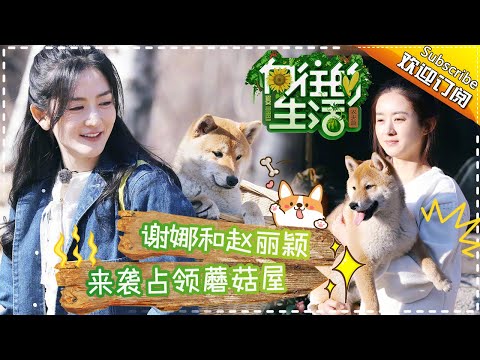 《向往的生活》第13期 赵丽颖放飞自我秒变谐星？调皮捣蛋·孙红雷意外造访！Back to field S1 EP13【芒果TV生活风尚频道】