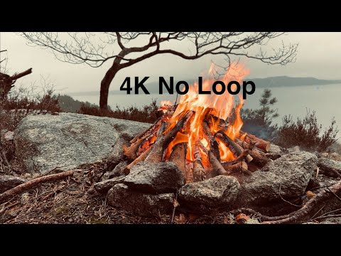 2 Hour Real Campfire In 4K. No Loop. Filmed On First Day of Spring 2025. Real Fire and Rain Sound.
