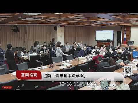 黨團協商(教育及文化委員會)(114年12月18日) |立法院