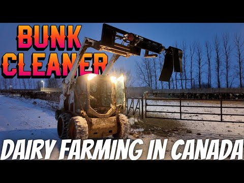 The Bunk Cleaner Ive Wanted For Years!!!