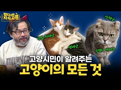 과학자가 보는 '고양이 액체설' / 형제 고양이끼리 색이 다른 충격적인 이유 🐈🐈‍⬛