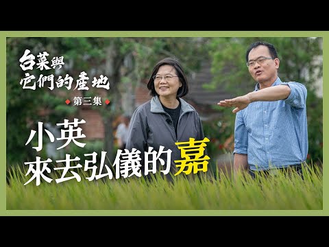 【 台菜與它們的產地 feat.鄭弘儀】台灣米冠全球！總統坐上大型農機體驗農家日常！