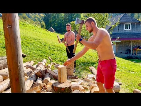 Two days in the forest. Father and sons collect firewood for the winter