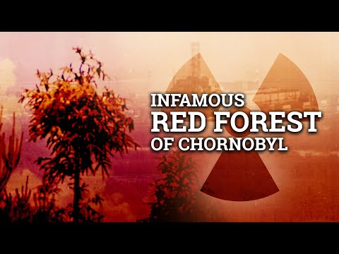 Chernobyl's Red Forest: Mutations, Radiation, and Science | Chornobyl Uncharted Ep 27