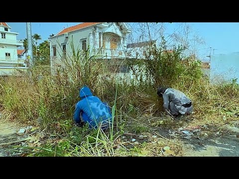 This Sidewalk Is Unbelievable | CLEAN UP the Overgrown Grass on the Sidewalk