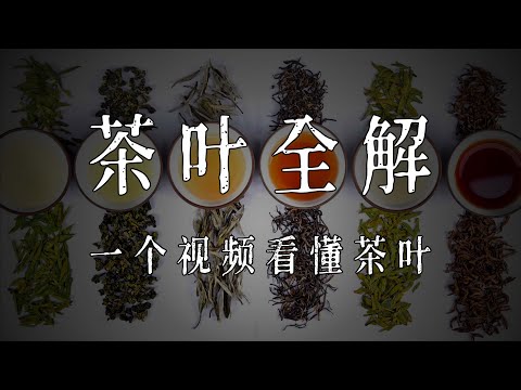 茶叶全解：不同茶有什么区别？我们到底在喝什么？为什么中国没有茶叶巨头？