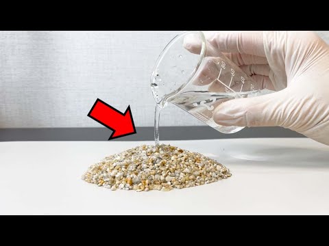 메마른 흙에 물을 넣으면 태어나는 생물 ㄷㄷ