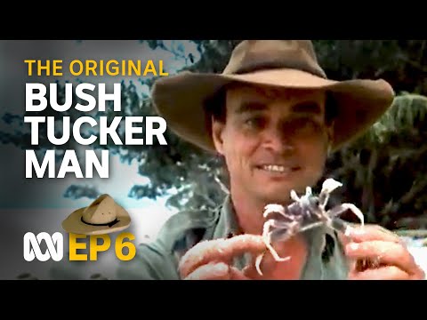 Les goes coastal 🤠🗺️ | Bush Tucker Man | S1 EP6 | ABC Australia