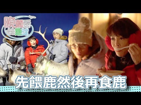 You fed people, rode people, and even ate their food!? Experience Sami nomadic life in a snowy vi...