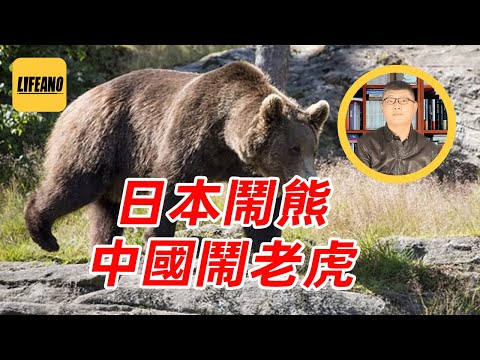 袁Sir聊日本熊灾：人少了，熊就多了 #lifeano漫聊 251126