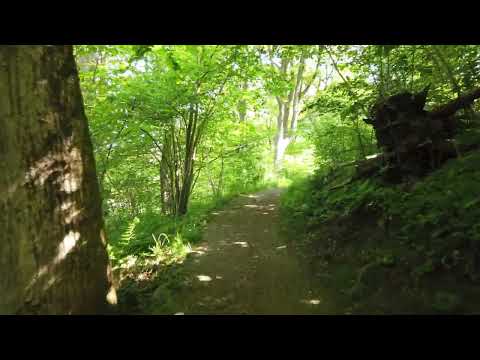 What if I took the wrong job?