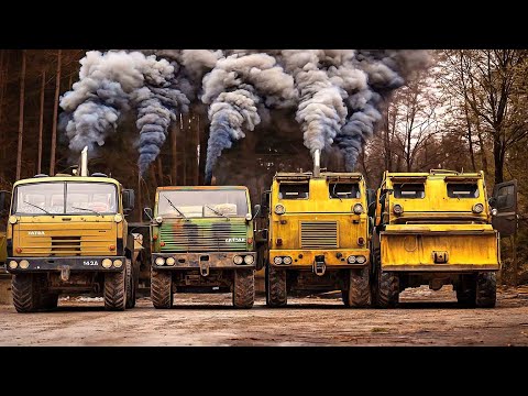 4x BRUTAL TATRA V12 Engines Start After Years | TATRA 813 KOLOS, GRAD, PMS, and 815 8x8