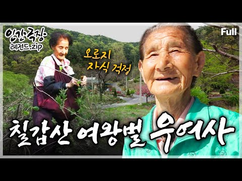 [인간극장★] 75년 한평생 '칠갑산'에서 뿌리내려 4대 가족이 함께해 남부러울 것 없다는 할머니의 행복한 인생⛰️💖 ‘칠갑산 여왕벌 우여사’ | KBS 방송