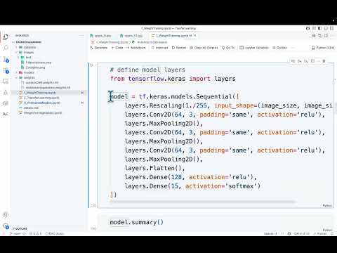 Transfer Learning (Pretrained CNNs)
