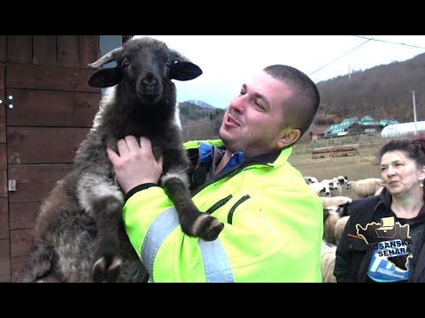 Žao mi bilo prodat djedove ovce i evo farme