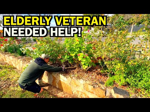 VETERAN Couldn't Cope With His OUT OF CONTROL Yard - I Gave Him PEACE