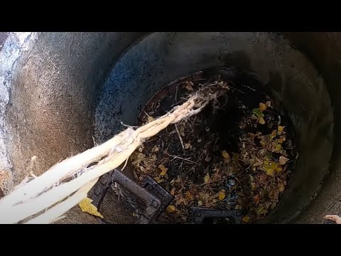 Kempinger 230. Only unblock it (3). Fighting hours with a 5-meter root and saving Jerry mouse's life