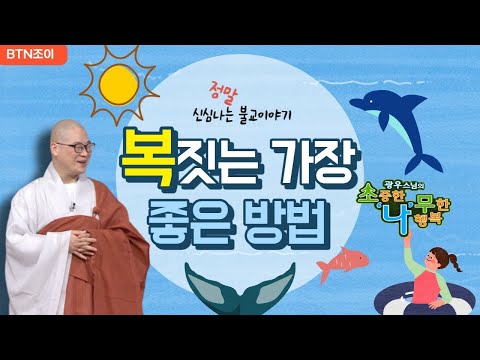 복짓는 가장 좋은 방법ㅣ광우스님 소나무 몰아보기