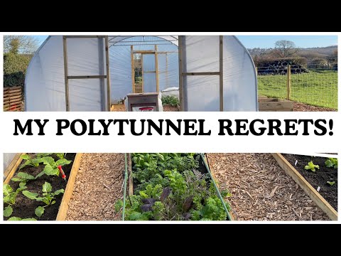 November Polytunnel Tour | Things I Regret About The Polytunnel