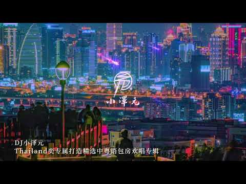 DJ 小澤元 - Thailand奕專屬打造精選中粵語包房歡唱專輯 #抖音 #太空旋律