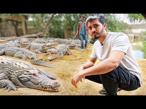 I entered a TEMPLE of SACRED CROCODILES in PAKISTAN.