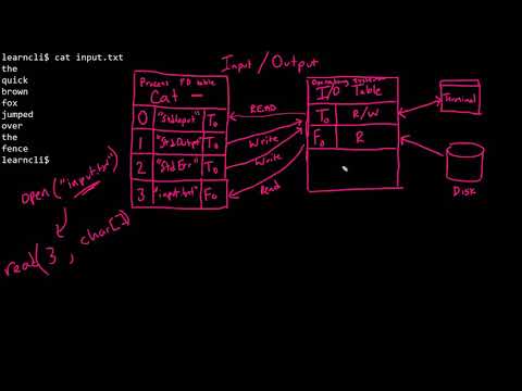 LS37.1 - Input/Output Introduction