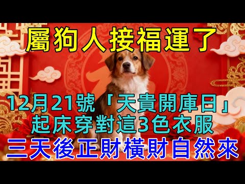 屬狗人必看！天地同慶！12月21號，農歷十一月初二，媽祖顯靈了，「天貴開庫日」，起床穿對這3色衣服，三天後正財橫財自然來！菩薩保妳正財橫財大爆發！   #生肖运势#佛陀#佛學 #佛法 #佛教 #修行