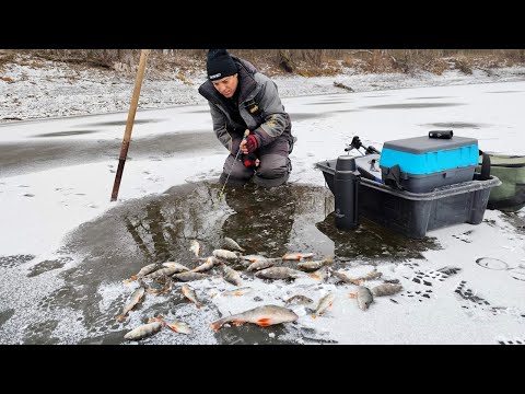 A Flock of Perch Breaks This Balance. Winter Perch Fishing 2024-2025