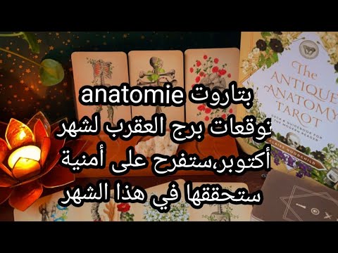 بتاروت💀 anatomie💀توقعات برج العقرب لشهر أكتوبر، ستفرح على أمنية ستحققها في هذا الشهر🌟