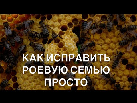 FIXING A SWARM COLONY IS EASY