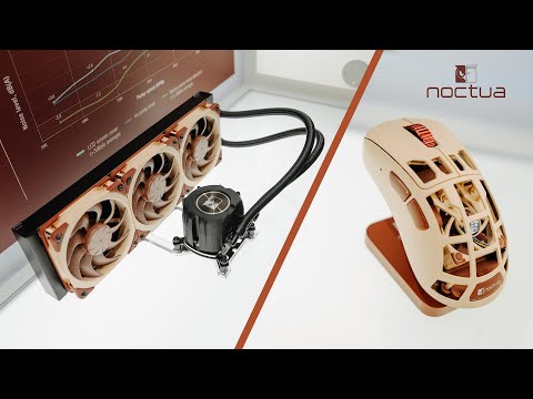 We got a Noctua AIO & Mouse before GTA 6