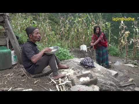 A day in the life of a Himalayan family || lajimbudha ||