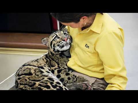 When Animals Can’t Hold Back Their Emotions After a Hug 😍 Cute Animal Videos