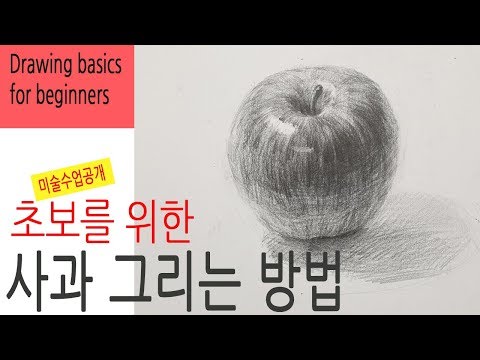 How to draw an apple with a pencil / Drawing for beginners
