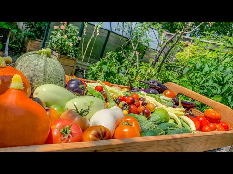 Extra Food for the Family Using Fabric Bags in our Container Garden + Add More Space to Grow