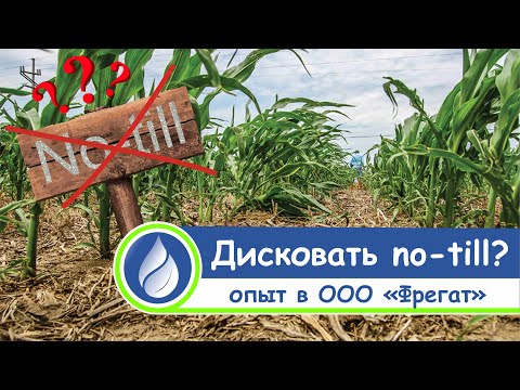 Дискование или ноутил?