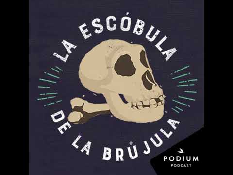 Programa 477 - Atapuerca, la cuna de cinco especies humanas