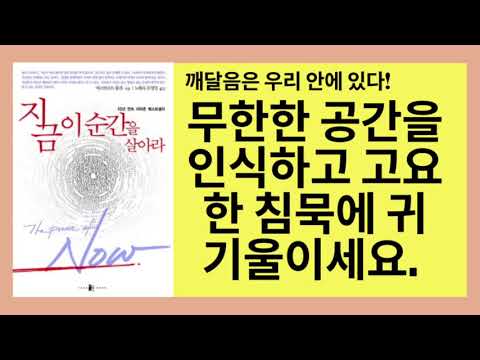 지금 이 순간을 살아라(에크하르트 톨레)- 고요함과 광활함이라는 현시되지 않은 세계는 바로 '지금'이라는 현존을 통해서 당신 안에서 드러난다.
