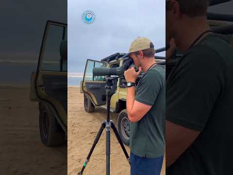 BTS | Friday Rescue Patrol Vlog #shorts