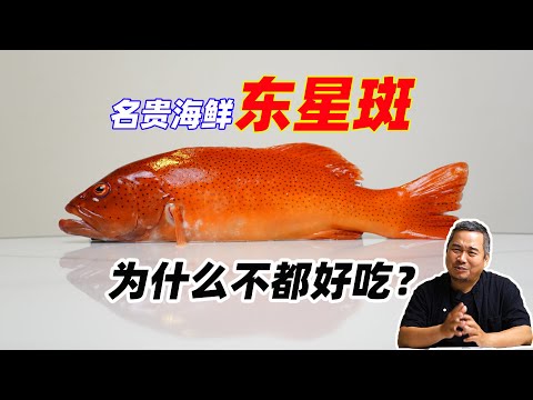名贵海鲜东星斑，为什么不都好吃？聊聊它少有人说的一面