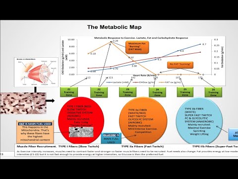 Describing Training Zones- Dr. Inigo San Millan