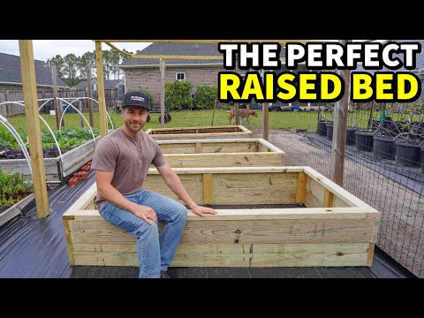 How To Build The PERFECT Raised Garden Bed!