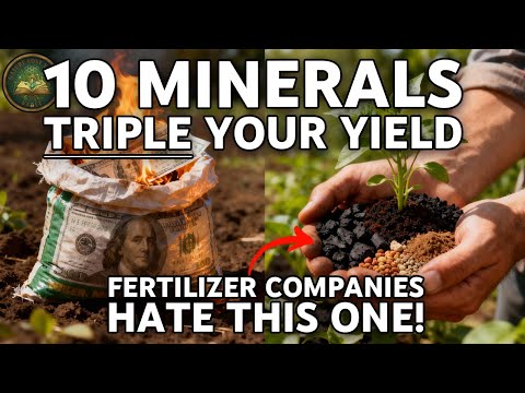 How 10 Hidden Minerals Can Triple Your Harvest (That Fertilizer Companies Buried)